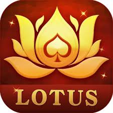 teen patti online poker download download